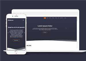 简约业务团队动态响应式网页模板 - 项目资源网