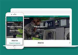 响应式滚筒洗衣机企业网站模板 - 项目资源网