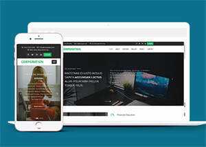 响应式财务管理公司网站模板 - 项目资源网