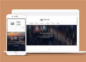 简约专业服务信息在线企业网页模板下载 - 项目资源网