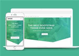 宽屏绿色产品信息展示响应式网站模板下载 - 项目资源网