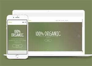 简洁绿色主题公司网站模板下载 - 项目资源网