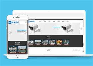 响应式数字防盗类网站前端模板 - 项目资源网