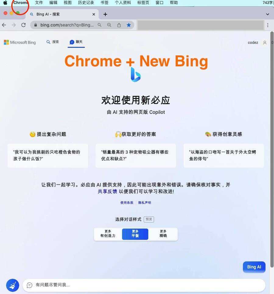 微软New Bing完美聊天机器人源码，支持ChatGPT提示词 国内可用，基本兼容微软 Bing AI 所有功能 - 项目资源网