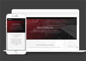 响应式前端框架skin网站模板 - 项目资源网