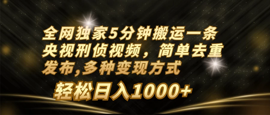 全网独家5分钟搬运一条央视刑侦视频,简单去重发布,多种变现方式,轻松日入1000+ - 项目资源网