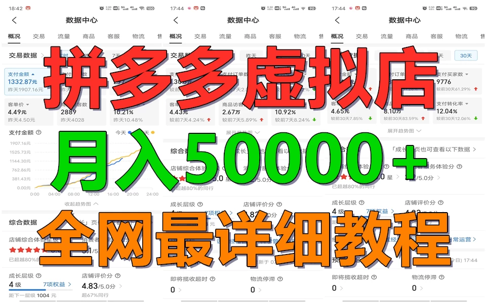 拼多多虚拟电商月入50000+你干你也行,暴利稳定长久,副业首选 - 项目资源网