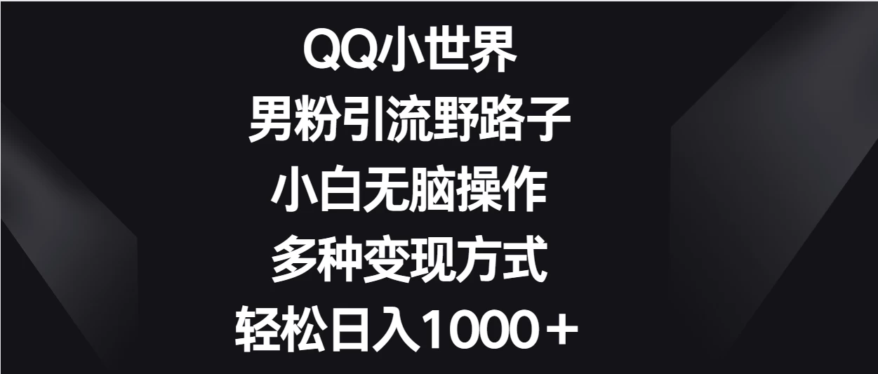 QQ小世界男粉引流野路子,小白无脑操作,多种变现方式轻松日入1000+ - 项目资源网