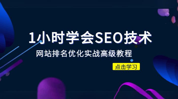 1 小时学会 SEO 技术：网站排名优化实战高级教程，秒杀市面 95% 收费几千的 SEO 教程 - 项目资源网