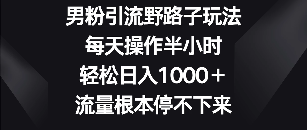 男粉引流野路子玩法,每天操作半小时轻松日入1000+,流量根本停不下来 - 项目资源网