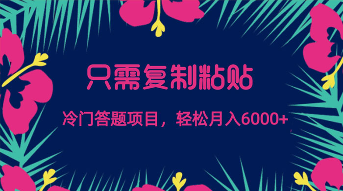 只需复制粘贴,冷门答题项目,轻松月入 6000 - 项目资源网