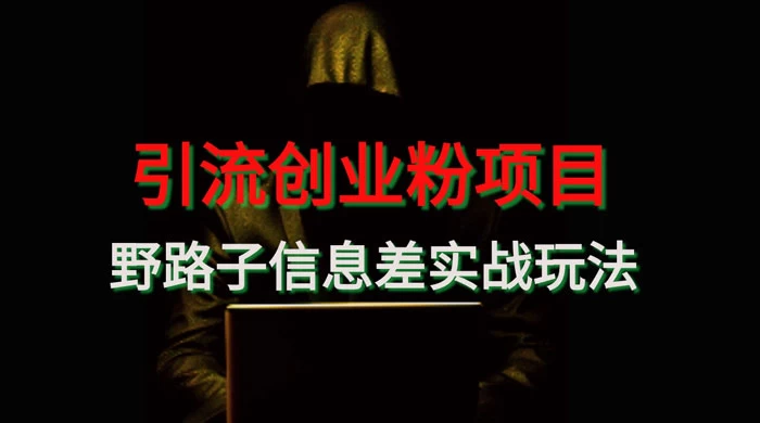 野路子信息差玩法实战教学，引流创业粉 - 项目资源网