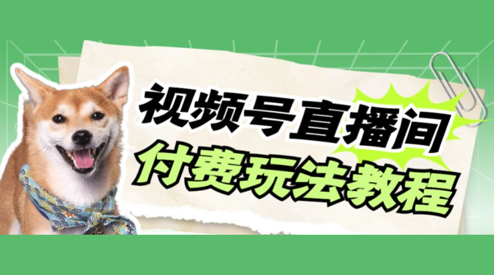 视频号美女付费无人直播，轻松日入500+（详细玩法教程） - 项目资源网