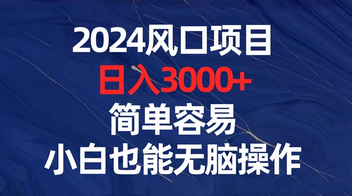 2024 风口项目,日入 3000+,简单容易,小白也能无脑操作 - 项目资源网