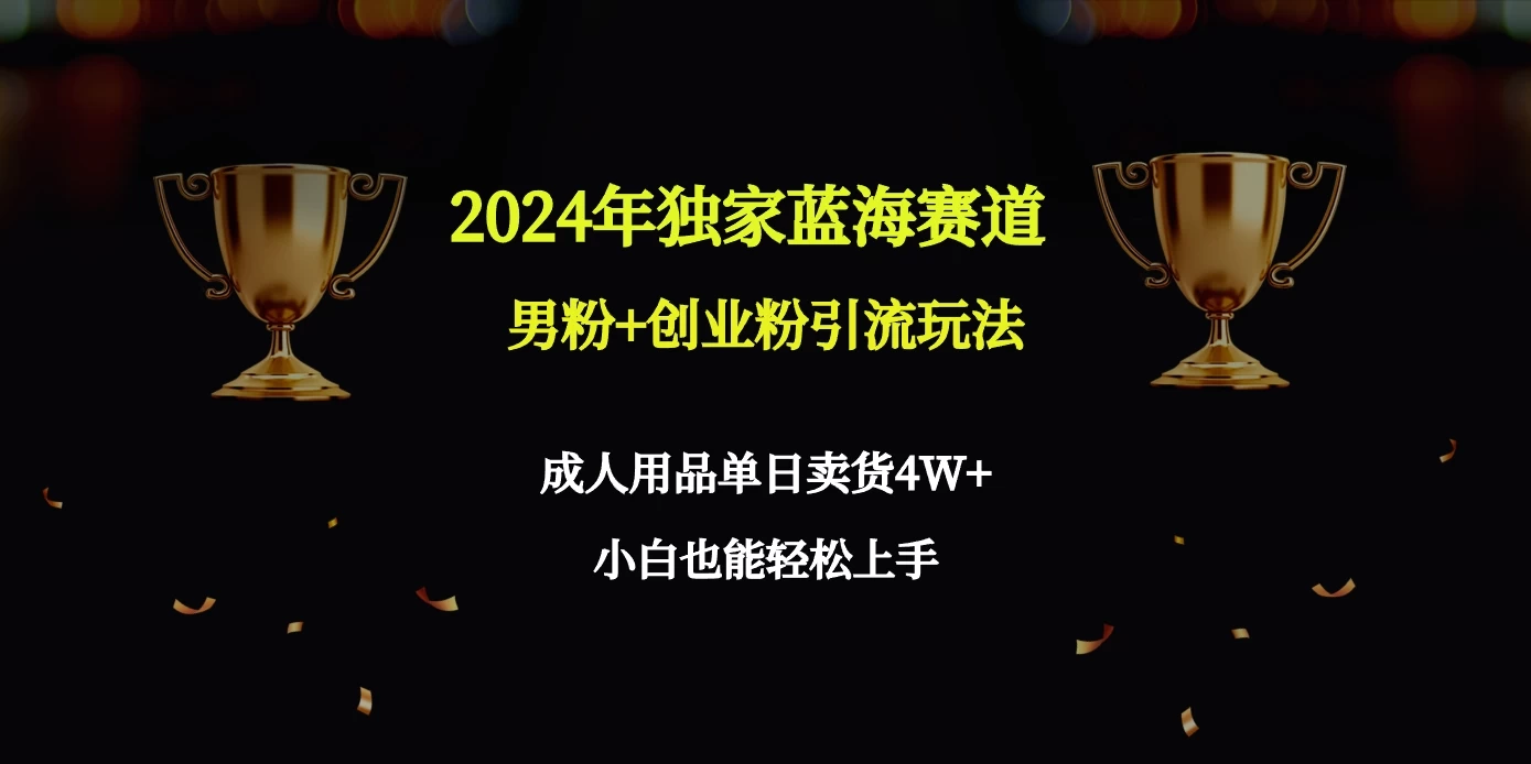 2024独家蓝海赛道，男粉＋创业粉引流玩法。 - 项目资源网